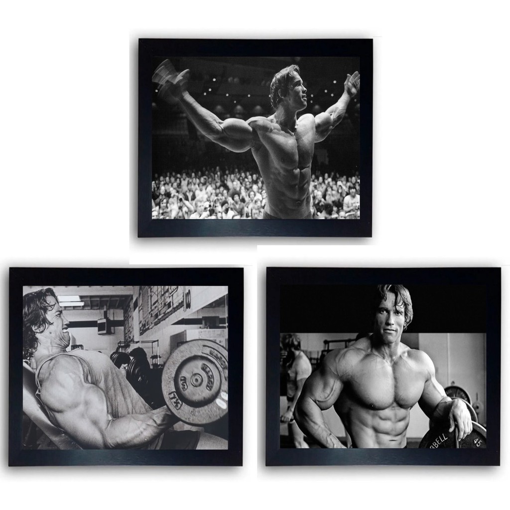 Kit 3 Quadro Arnold Schwarzenegger Moldurado Shopee Brasil