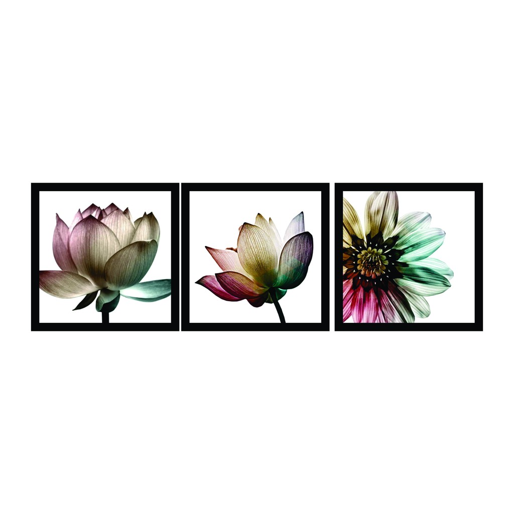 Quadros Decorativos Moldura 20x20cm Flores Shopee Brasil