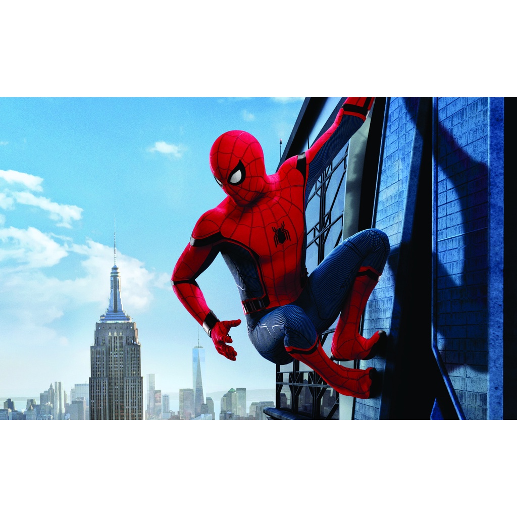 Painel Homem Aranha Em Lona Fosca Shopee Brasil