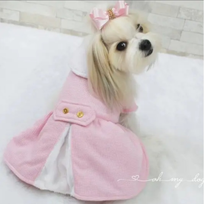 Casaco Princesinha Rosa Para Cachorro Shopee Brasil