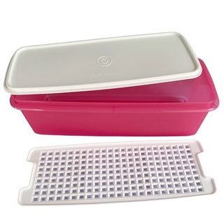 TUPPERWARE SUPER CAIXA 4 3 LITROS ROSA PINK Shopee Brasil