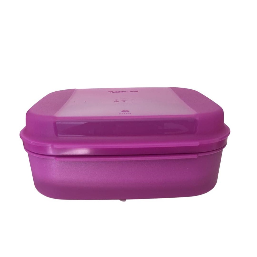 Tupperware Visual Box Violeta 1 1 Litro Shopee Brasil