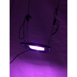 Painel Led Full Espectro 50w Bioledz Grow Cultivo Indoor Estufa Vega E