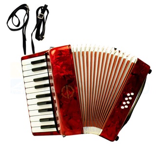 Acordeon Sanfona Gaita Profissional Baixos Teclas Shopee Brasil