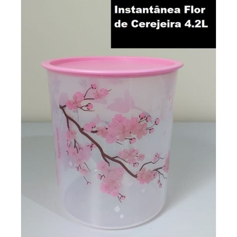 Aprender Sobre Imagem Tupperware Flor De Cerejeira Br