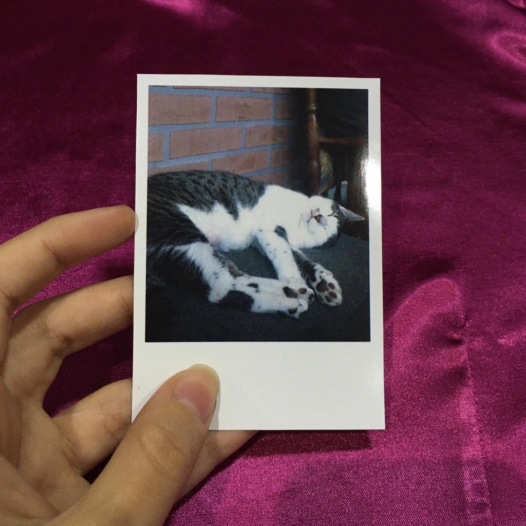 Foto Polaroid Tradicional 7x10 cm