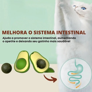 Kit Brinquedo Para Gatos Abacate Catnip Erva Gato Natural Shopee Brasil