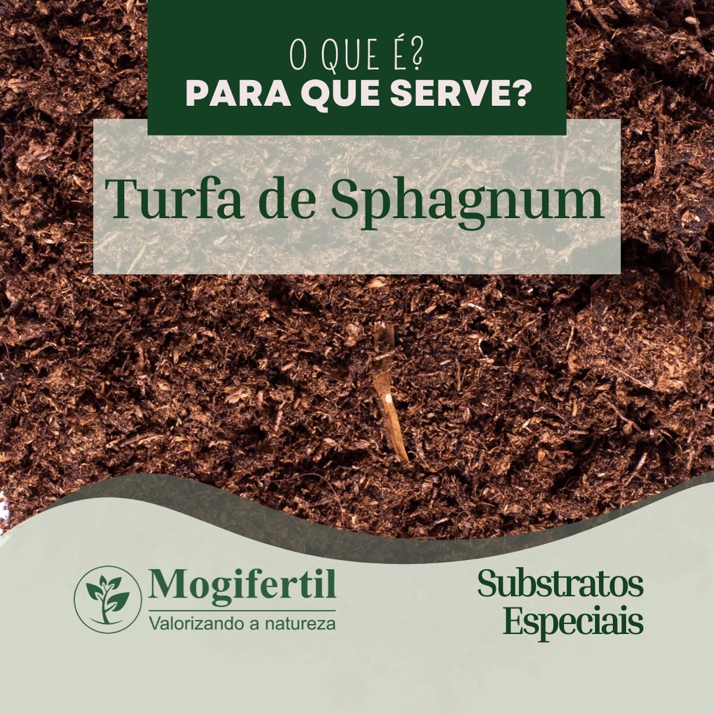 Turfa de Sphagnum substrato especial adubo orgânico plantas 3 10 ou 20