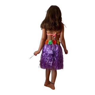 Saia Havaiana Infantil 38 Cm Festa Fantasia Hula Hula Tropical Oferta