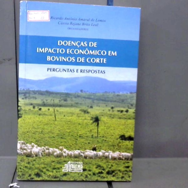 Doencas De Impacto Economico Em Bovinos De Corte Perguntas E