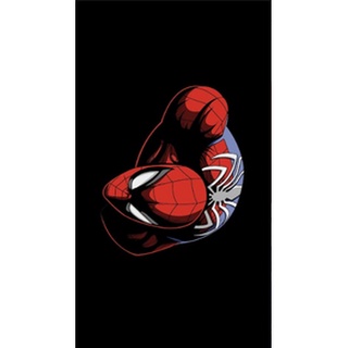 Placa Decorativa Homem Aranha Shopee Brasil