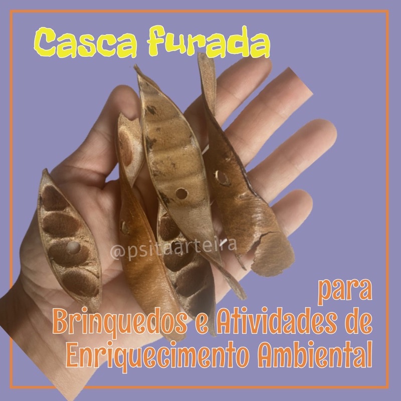 Casca Furada Para Brinquedo E Enriquecimento Ambiental Psitacideos