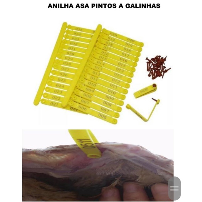 Anilhas Para Asa De Pintinhos Galos E Galinhas 50 Und Shopee Brasil