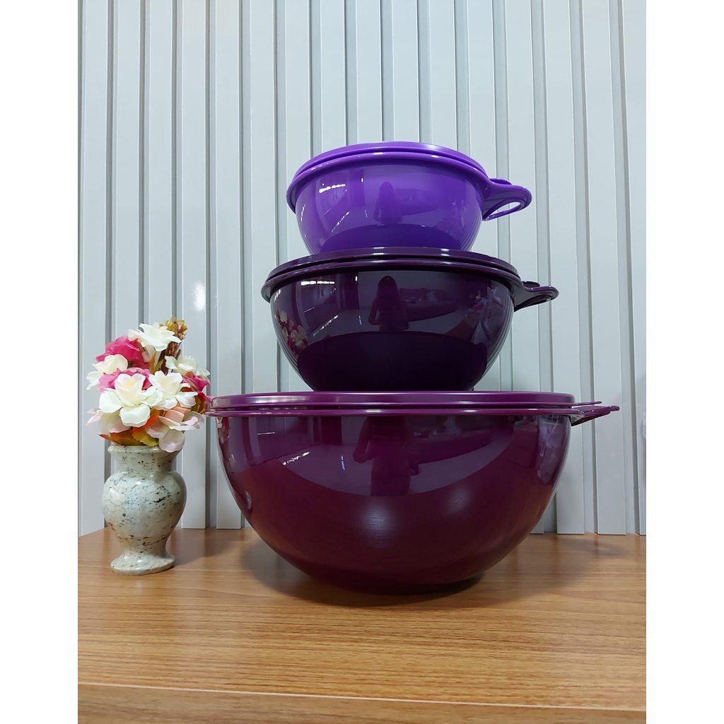 Tupperware Kit Tigelas Criativa Shopee Brasil