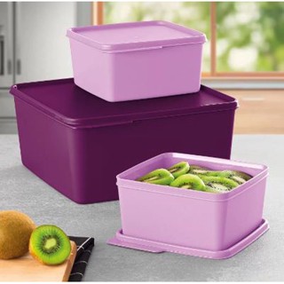 Pote Quadrado Basic Line Tupperware L Shopee Brasil