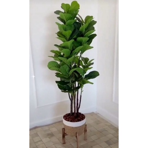 Planta Artificial Ficus Lyrata 130cm Shopee Brasil