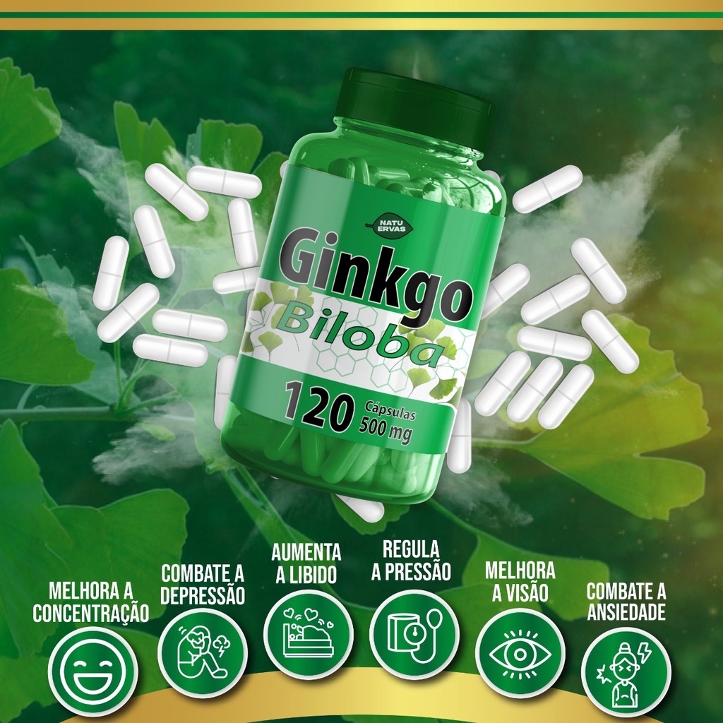 GINKGO BILOBA 120 capsulas 500 mg Natu ervas Desconto no Preço