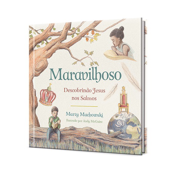 Maravilhoso | Descobrindo Jesus nos Salmos | Infantil | Capa Dura em Oferta na Shopee