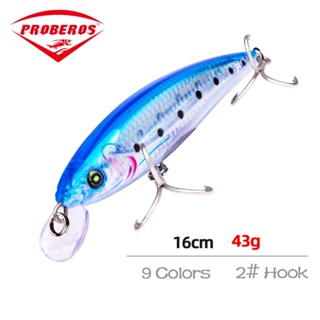 1Pcs 43G Peche 16 Cm Wobbler Isca De Pesca Grande Minnow Crankbait Baixo Pike Carp Iscas De Corrico Artificial Enfrentar em Oferta na Shopee