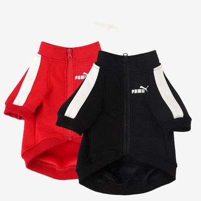 Jaqueta Esportiva Quente para Cães Pequenos/Médios - Impermeável, Refletivo e Ajustável - Tamanhos S a 4XL