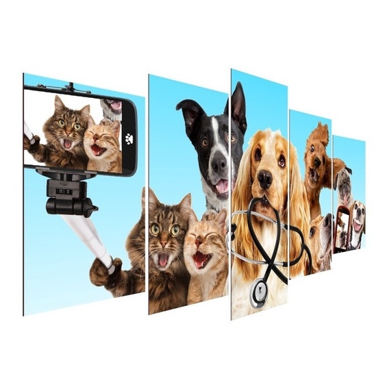 QUADROS DECORATIVOS 5 PEÇAS MDF ANIMAIS PET SHOP