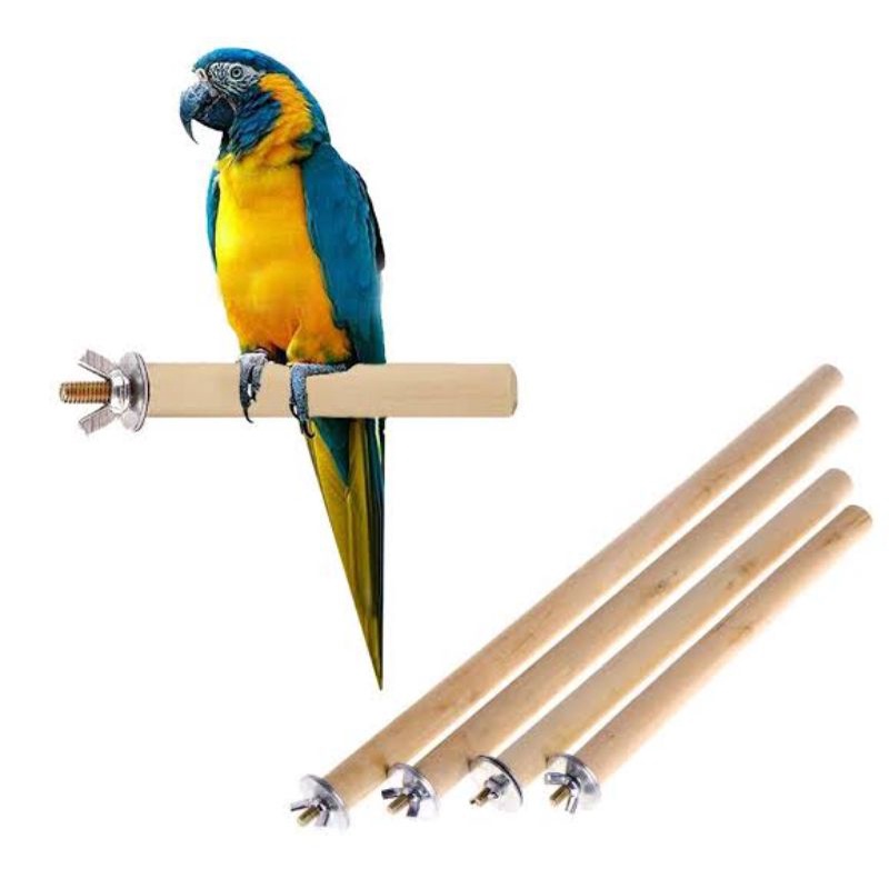 Viveiro para Periquito Australiano: Onde Comprar | BuscaProdutos