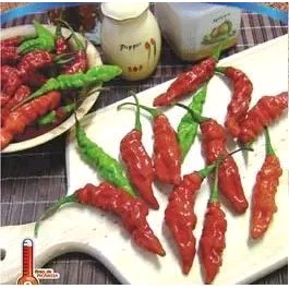 Peperoncino Murupi Purple: 10 Semi Per Un Orto Piccante E Colorato!