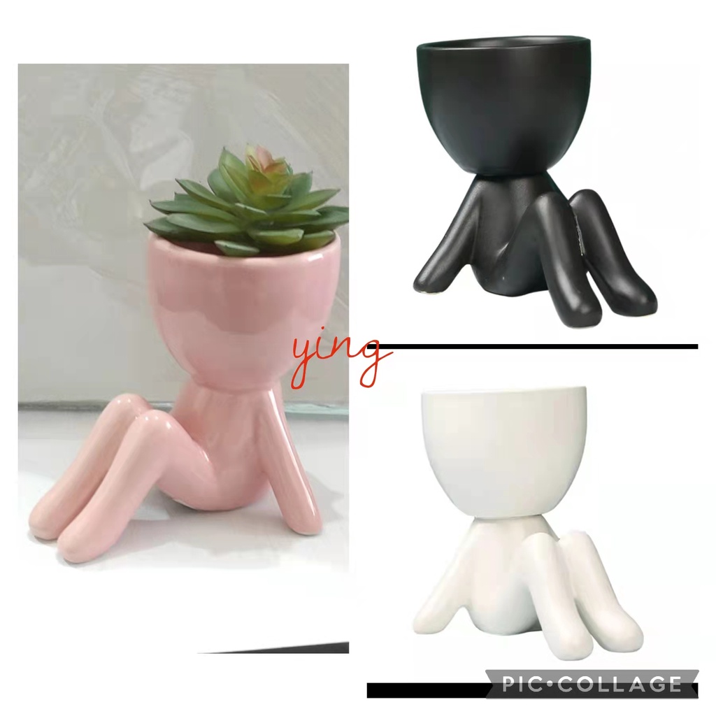 Vaso Decorativo Robert Plant Para suculentas e Cactos Mini. Venda Unidade de 10cm HD80734 COS1932