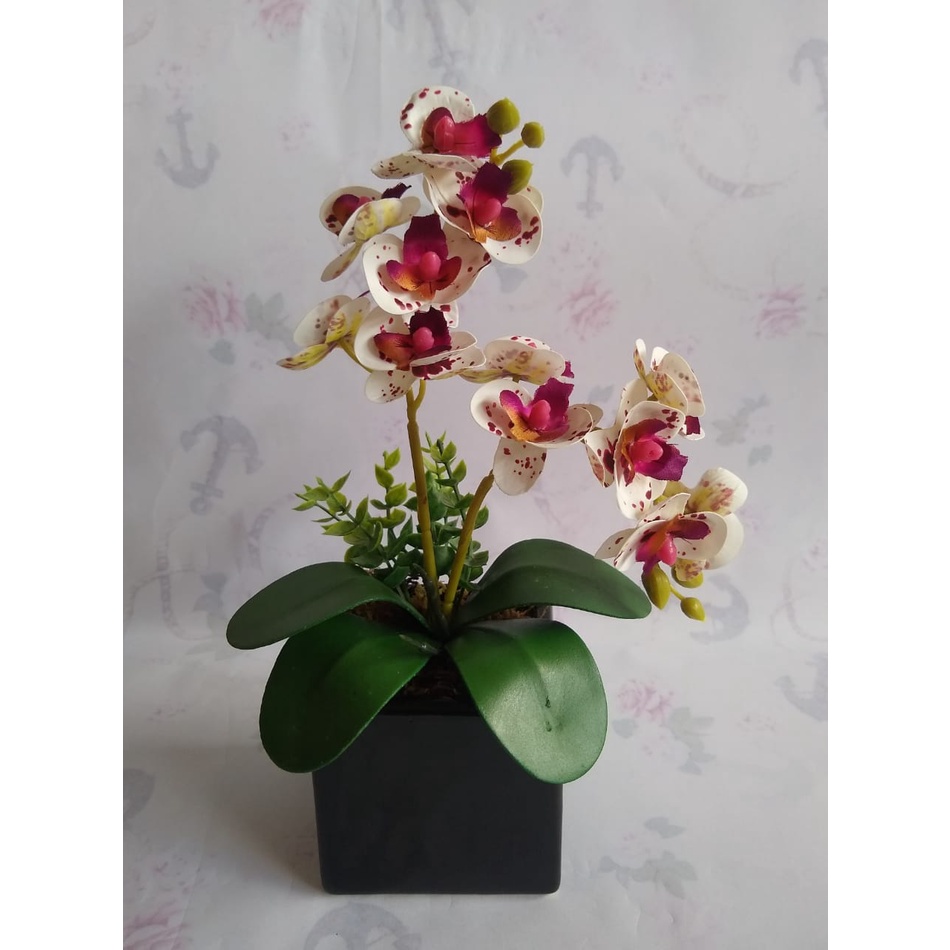 Mini arranjo de Orquídea branca e roxa com 27 cm + vaso preto de cerâmica |  Shopee Brasil