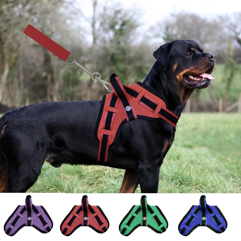 Peitoral Coleira Cachorro Dog Médio Grande Porte Fila Pitbull Golden Pastor Alemão labrador Guia Reforçado Anti Puxão