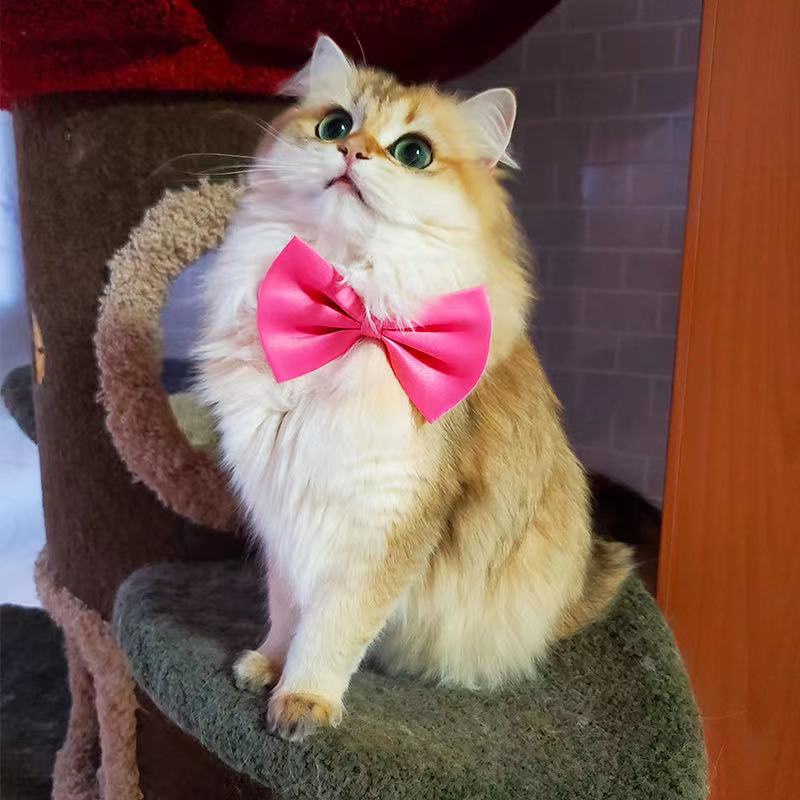 Gravata Borboleta Pet cães gatos com Regulagem enviar rápido