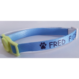 Coleira Personalizada ENVIO RÁPIDO para Gatos