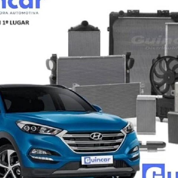 Guincar Distribuidora