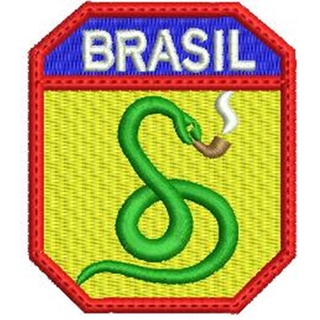 Patch bordado FEB Força Expedicionária Brasileira com Carrapicho Segunda Guerra Mundial.
