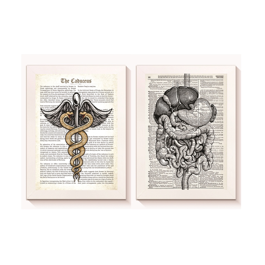 Kit 2 Quadros Decorativos Símbolo de Medicina Sistema Digestivo Gastroenterologia Medicina Molduras 20x30cm Madeira