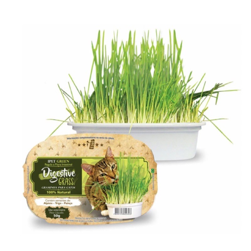 Grama Graminha para gatos pet Digestive grass 50g Shopee Brasil