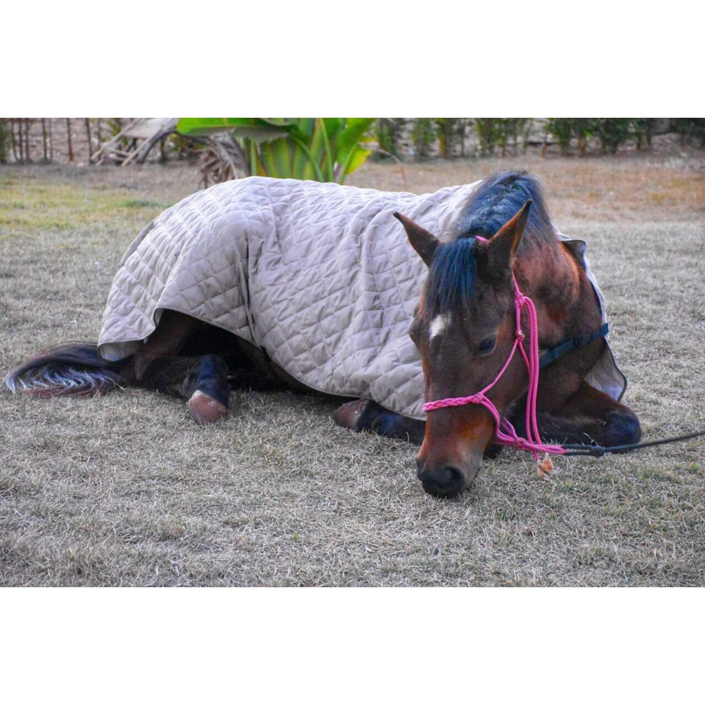 Capa De Luxo Para Cavalo, Produto Ideal Para Proteger Contra Frio, P - G