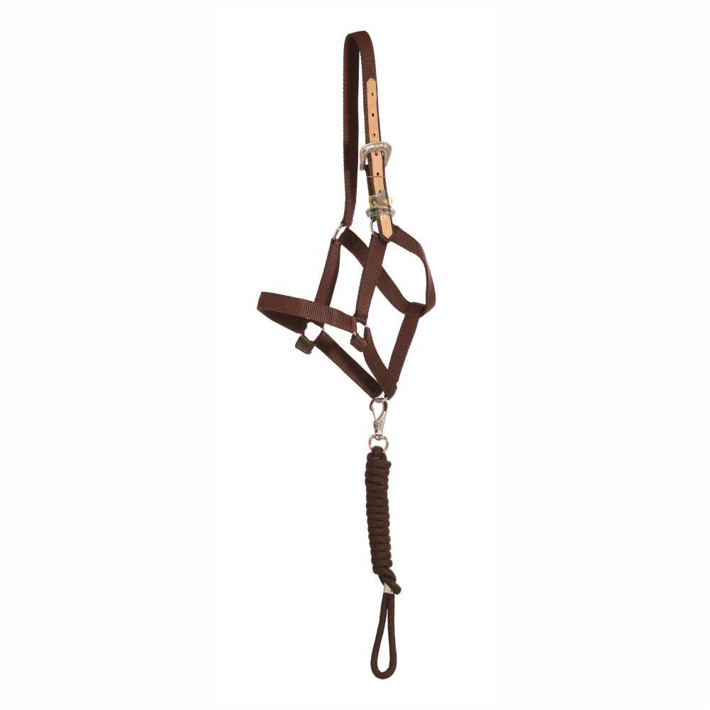 Cabresto Reforçado Personalizado Para Cavalo - Cor Marrom