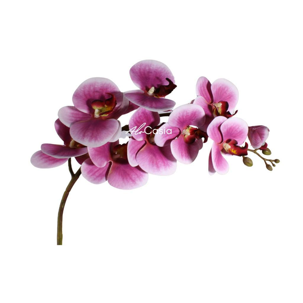 Haste de Orquídea Artificial 9 flores 97cm Branco e Lilás | Shopee Brasil
