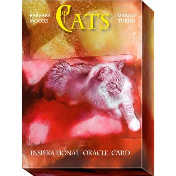 Cats Inspirational Oracle Card