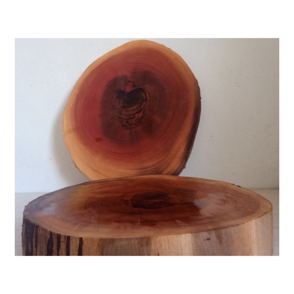 Bolacha de madeira rustica diametro de 30cm a 40cm