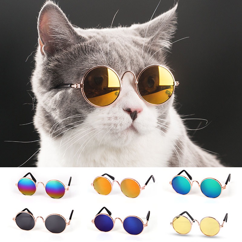 Oculos de Sol Flak Jacket Prizm Juliet Mandrak Top Penny 2.0 e 1.0
