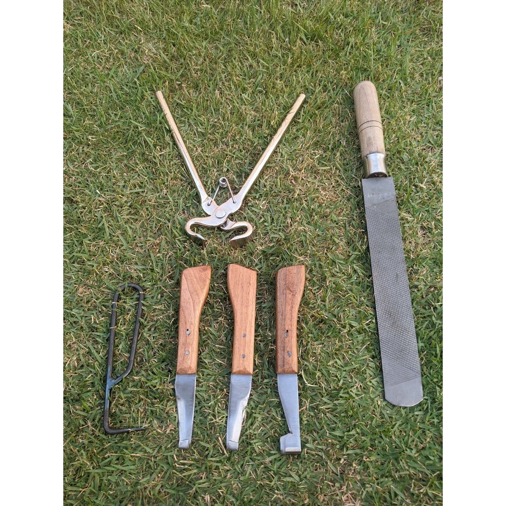 Kit Grosa + Turquesa + Rinetes Para Ferrar Casquear Cavalo