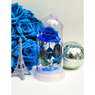 Luminária A Rosa Encantada Azul A Bela E A Fera O Pequeno Príncipe Grande LED FRIO Base Cor Pérola