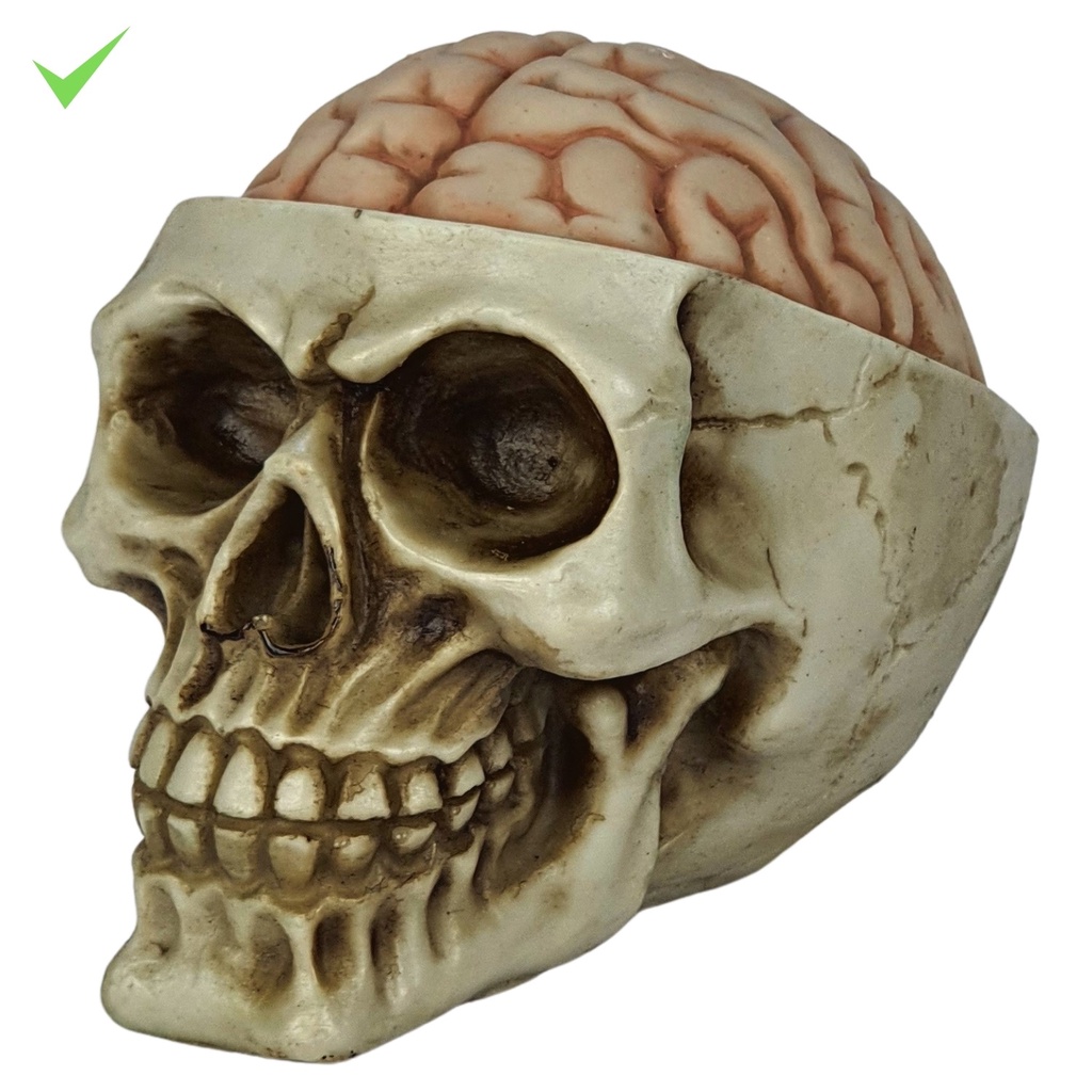 Crânio Humano Em Resina Cabeça De Esqueleto Modelo Festa De Halloween Decoração Enfeite 008 
