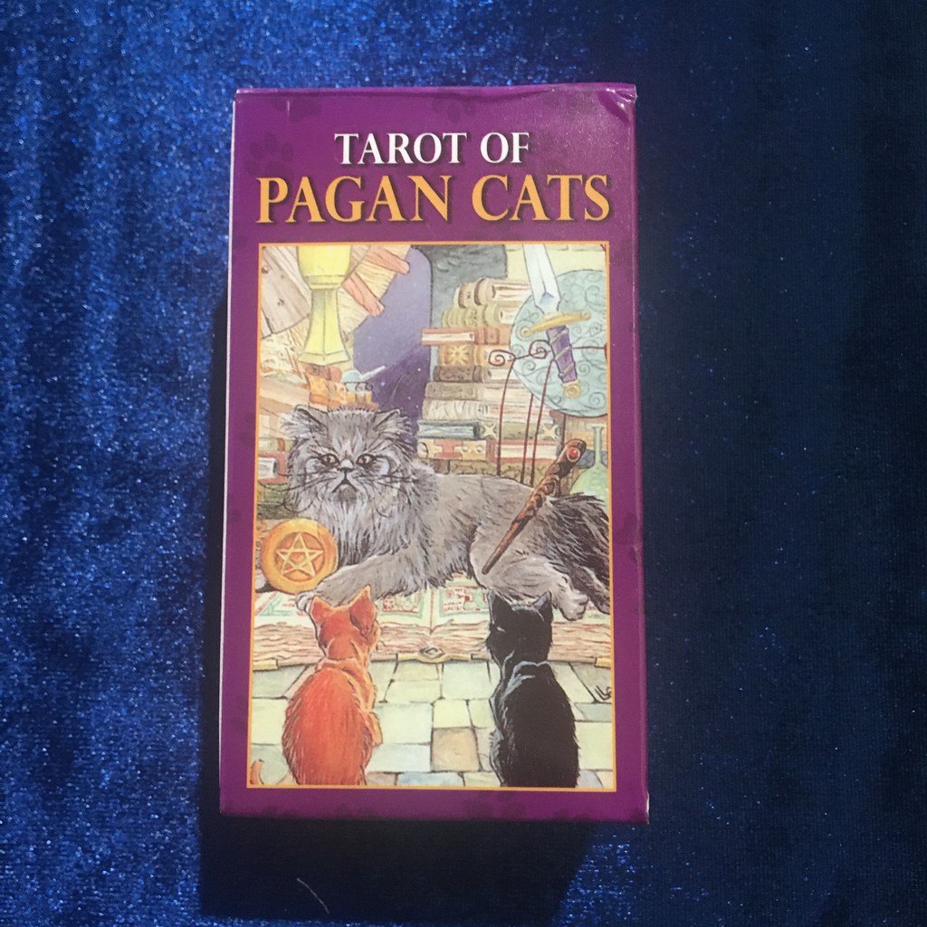 Tarot of Pagan Cats Tarô dos gatos Shopee Brasil