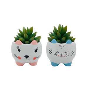 Kit 2 Peças Cachepot Gato Suculenta Vasinho De Flor EM Ceramica Orelha Pequeno em Oferta na Shopee