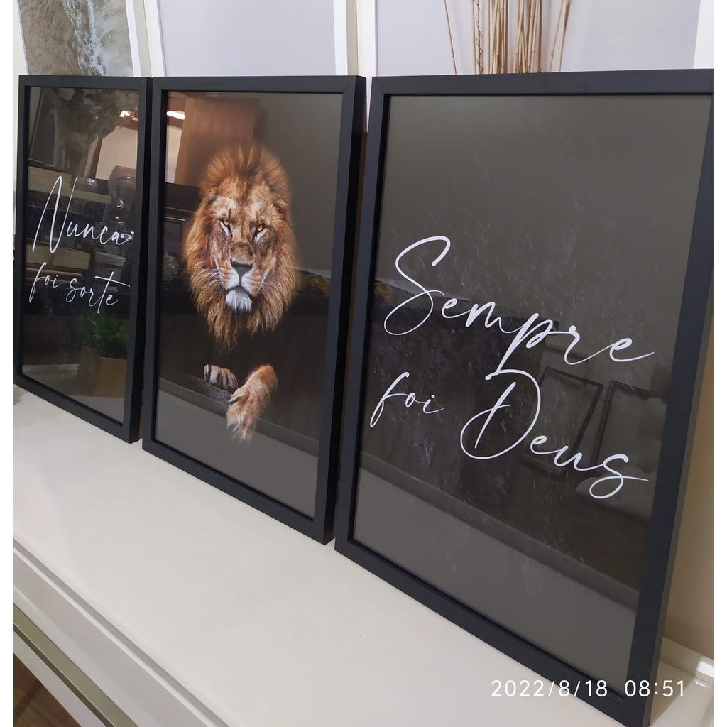 Kit 3 Quadros Decorativos Leão Nunca Foi Sorte Moldura 40x60 Sala Quarto Escritório