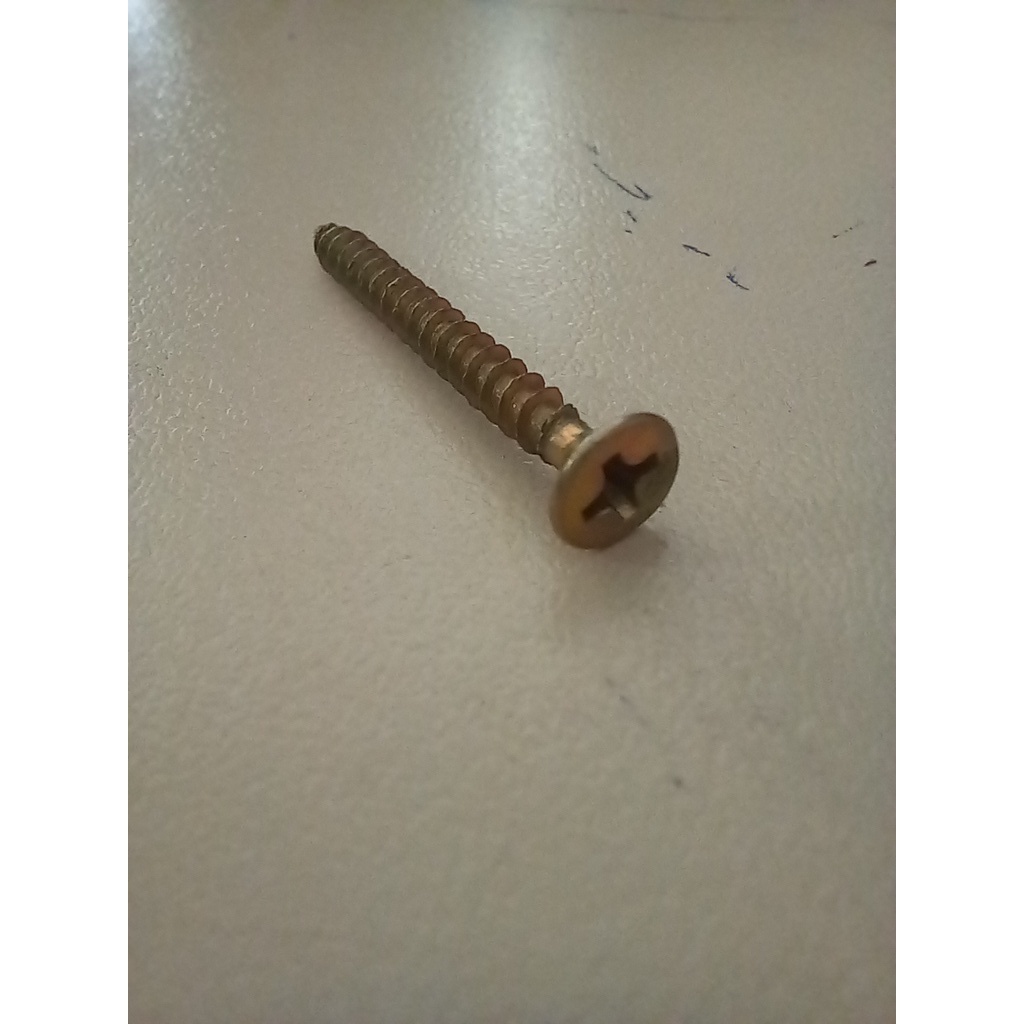 Parafuso Chip 3.0x30 10 Unidades