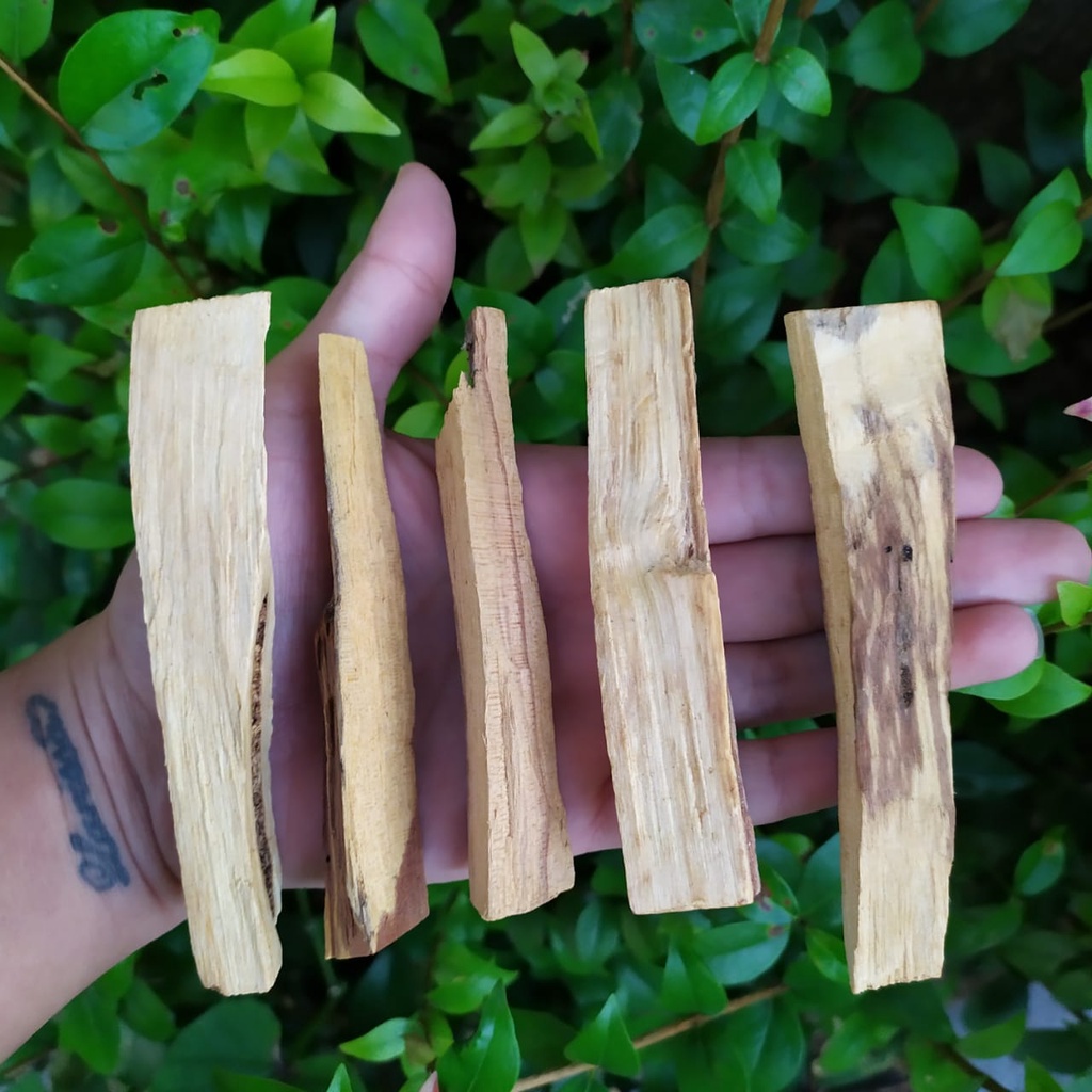 Palo Santo In Natura Incenso / Cristais